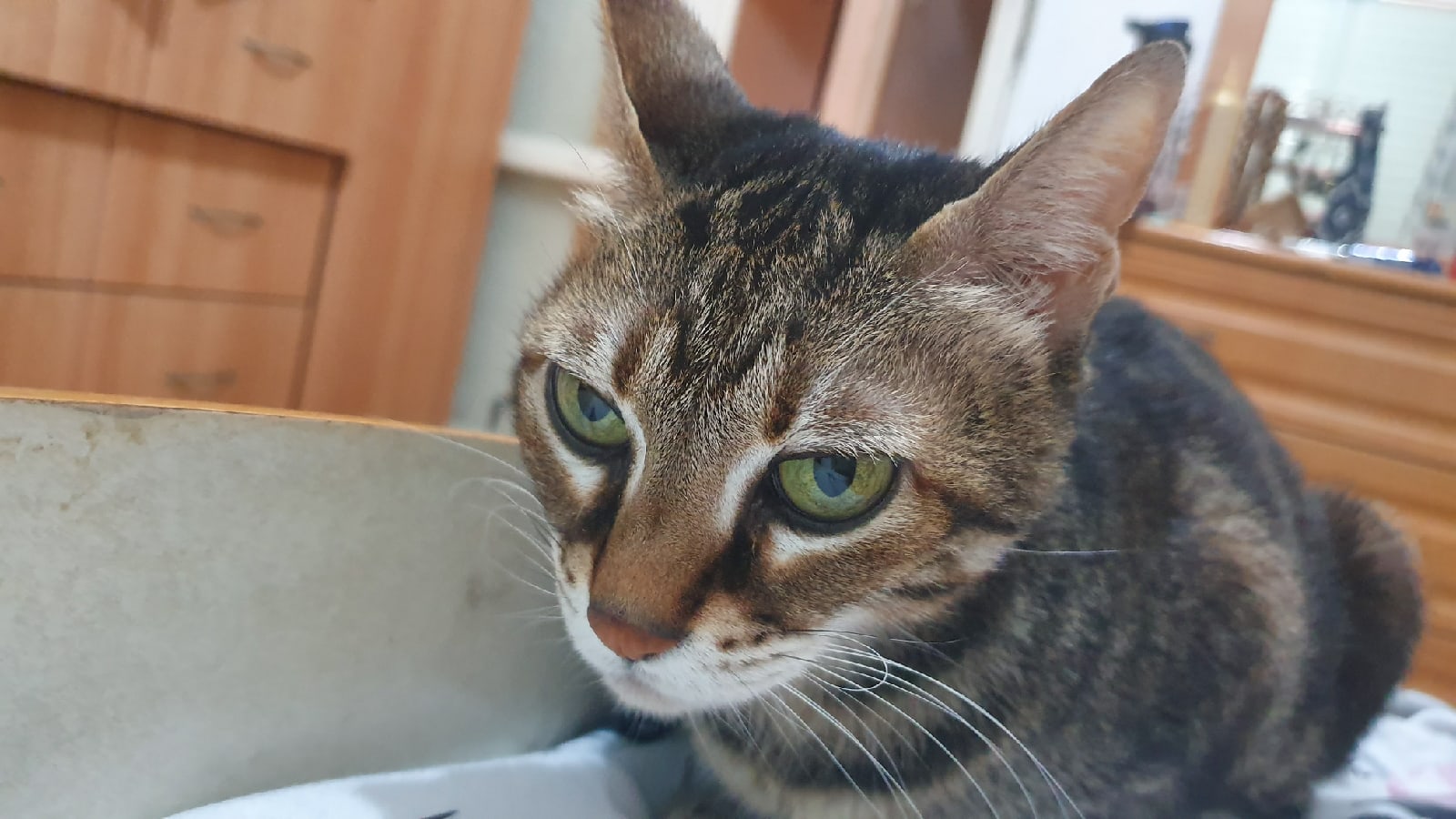https://sun9-18.userapi.com/c855224/v855224213/21fd10/L30BMt_MYvs.jpg