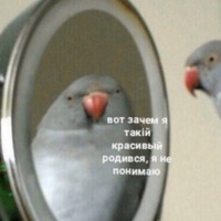 Михаил Яшенков