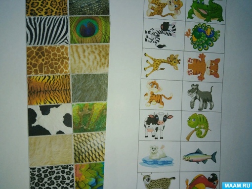 Выберите животное. Дидактическое пособие дикие животные. Логические игры. Картинки для игры выбрать лишнее животное. Проводится игра «подбери пару».