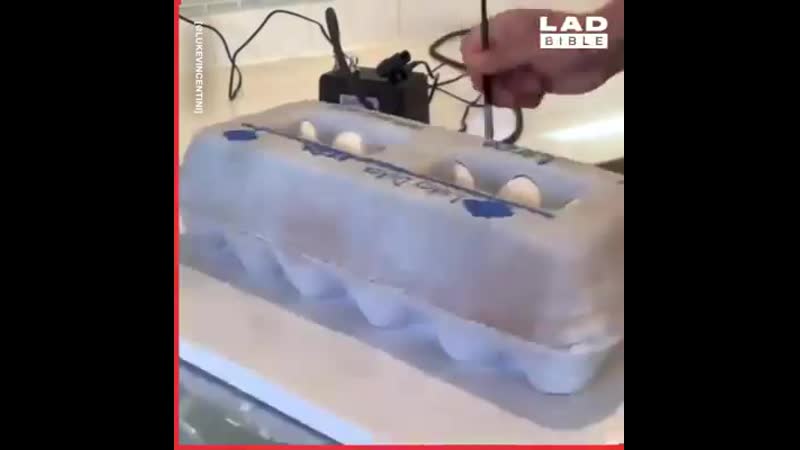 Видео от Elena