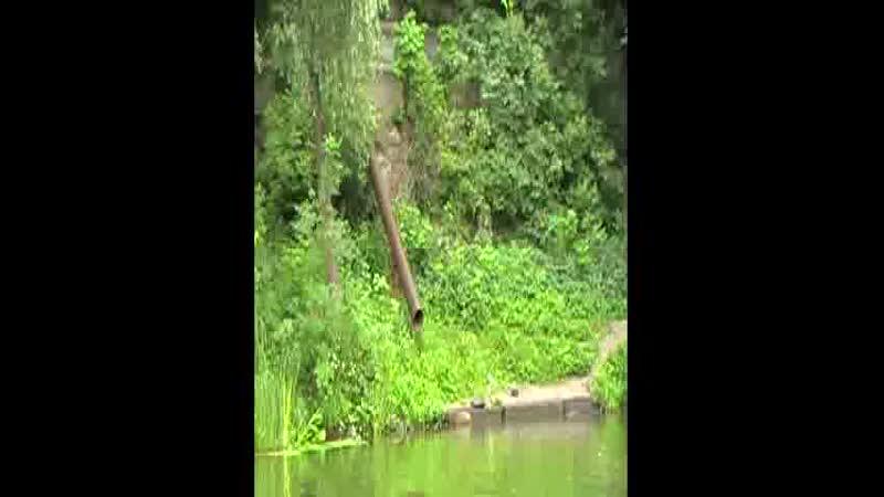 MOV000
