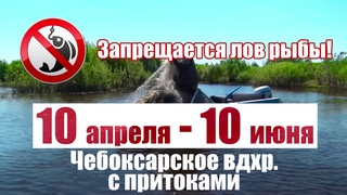 КУРС НА НЕРЕСТ