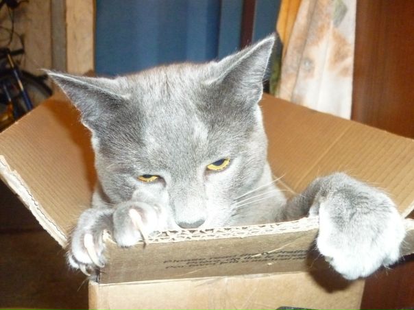 №30, Ирина Федорова, 45 лет, Санкт-Петербург №30, Ирина Федорова, 45 лет, Санкт-Петербург