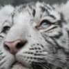 Аватар: Галина Григорьева
