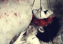 №13 Эльвира Кино 27.05.1995: профиль, фото, статус - ВКонтакте №13 Эльвира Кино 27.05.1995: профиль, фото, статус - ВКонтакте