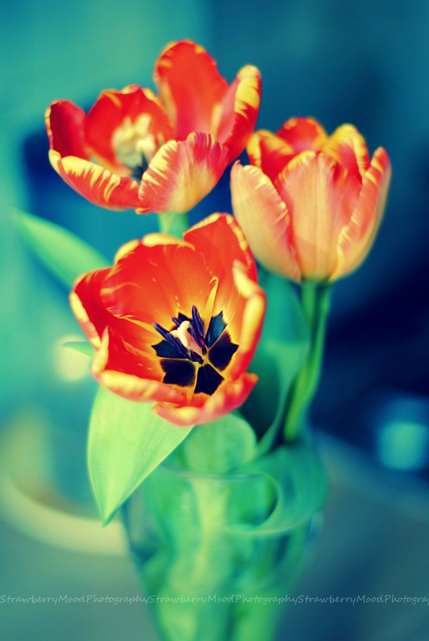 Ольга Ситкина | Москва