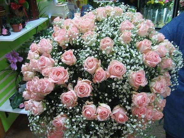 Марьям Гаджиалиева | Махачкала