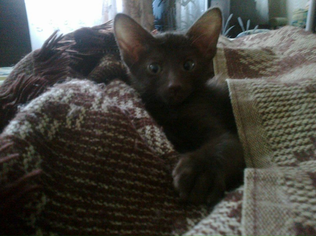 Татьяна Пархоменко | Санкт-Петербург