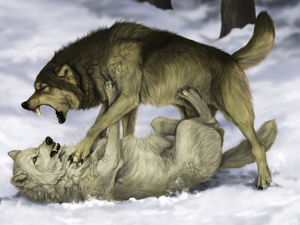 Анатолий Дудник | Петрозаводск