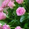 №23, Версалия Соколова, 35 лет №23, Версалия Соколова, 35 лет