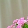 №47, Версалия Соколова, 35 лет №47, Версалия Соколова, 35 лет