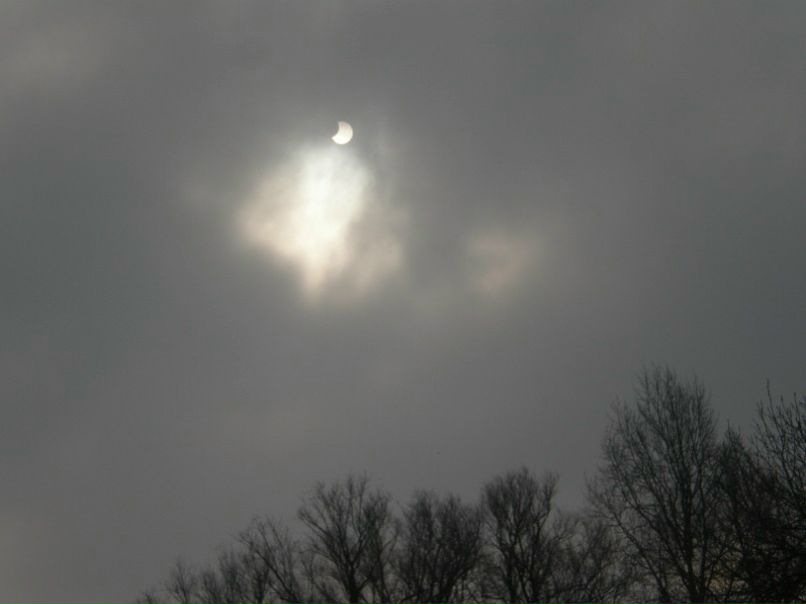 №8, Алінчик Драчук №8, Алінчик Драчук