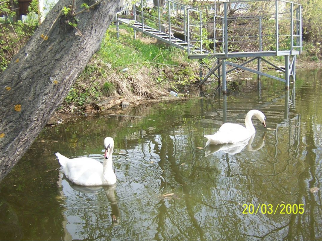 Светлана Данилова Анатольевна | Казань