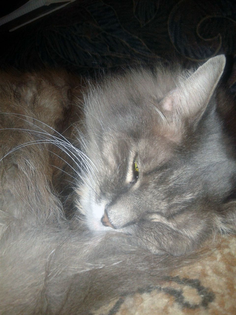 Pashu Slobodskoy | Москва