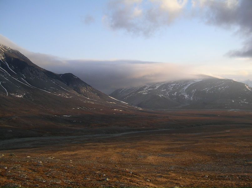 Коля Волов | Москва