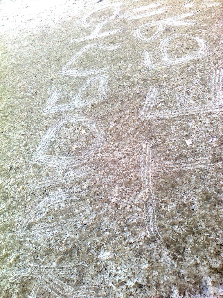 Ольга Сивцова | Новосибирск