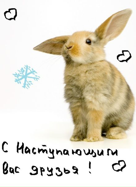 №40, Мария Фролова №40, Мария Фролова