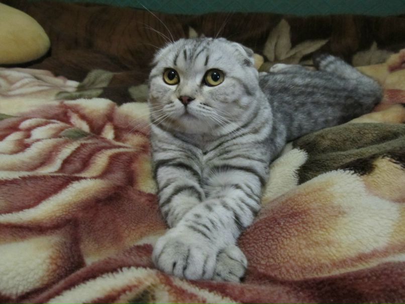 Наташа Вершута | Днепр (Днепропетровск)