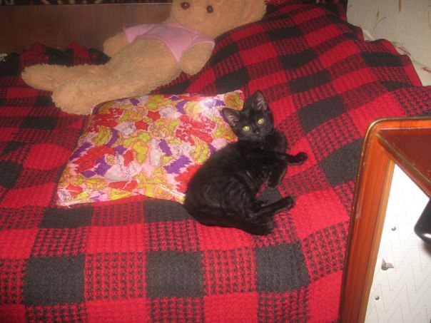 №3, Дарина Пісня, Киев №3, Дарина Пісня, Киев