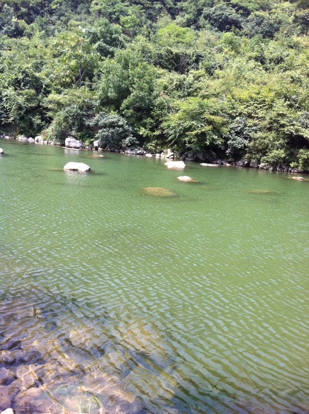 №9, Сыюй Цинь №9, Сыюй Цинь