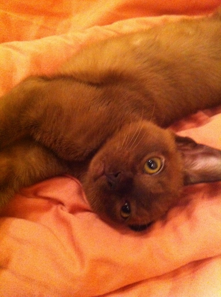 Екатерина Беляева | Москва