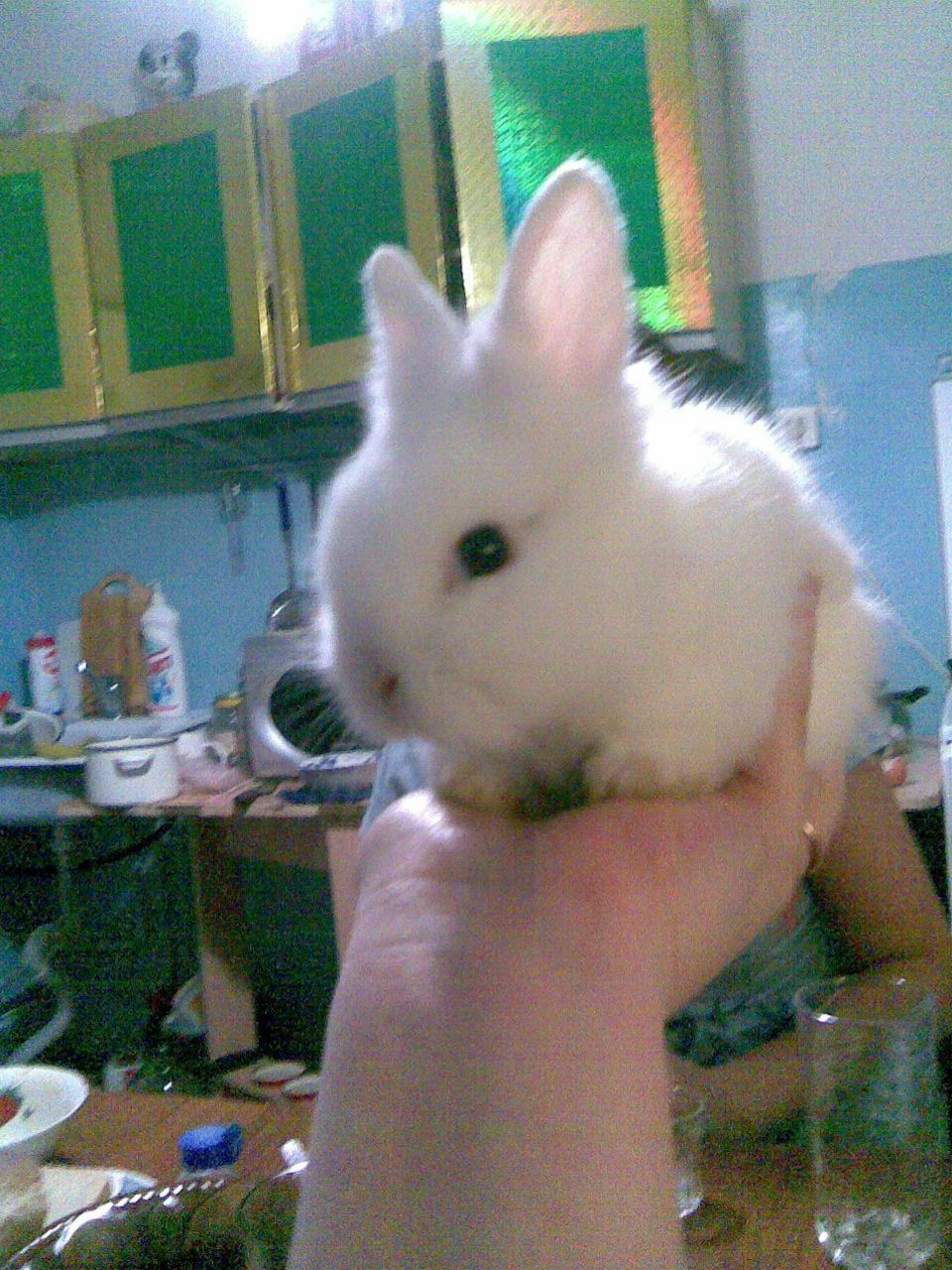 Ольга Золотых | Балаково