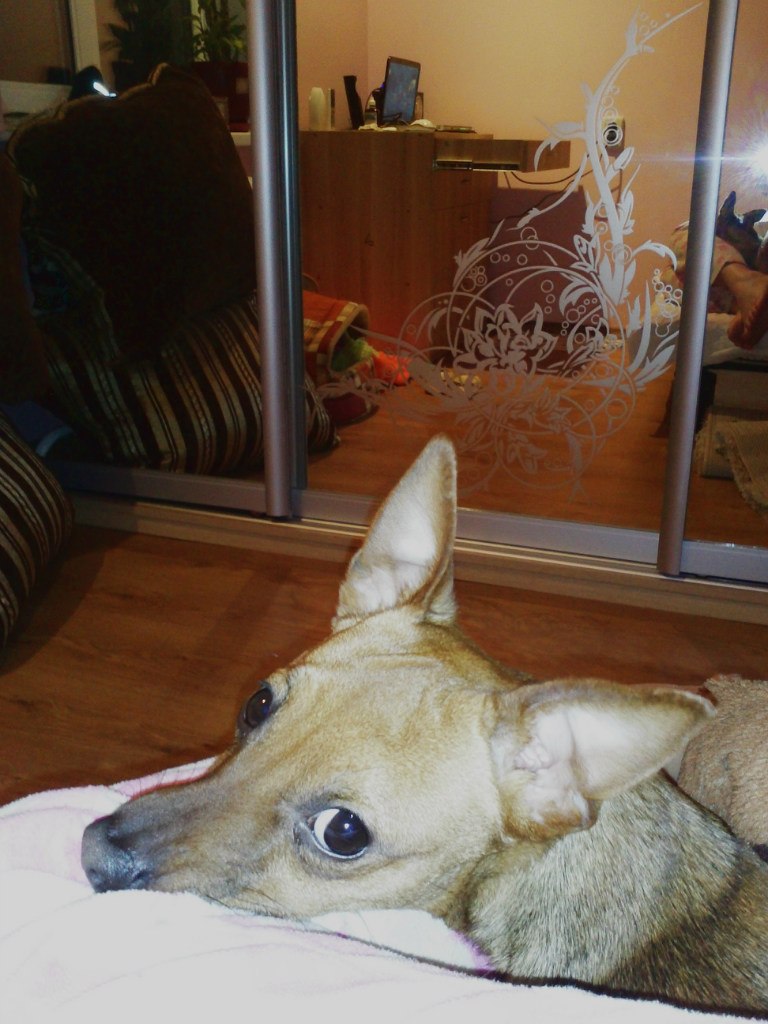 Кристя Соботюк | Киев