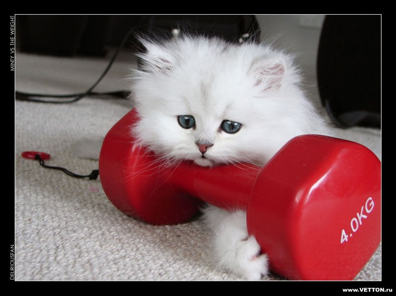 Вероника Исаева | 