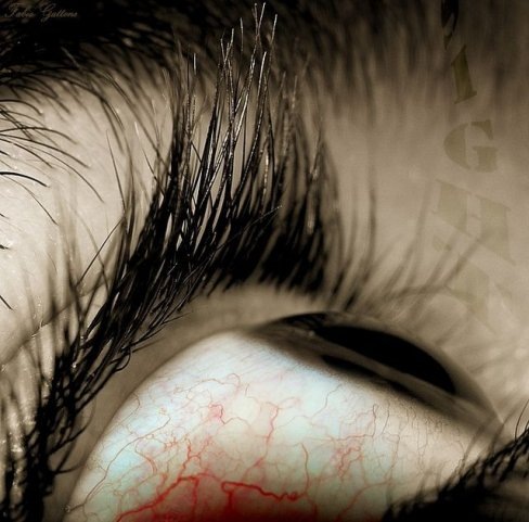 №1, Надя Ануфриева, Москва №1, Надя Ануфриева, Москва