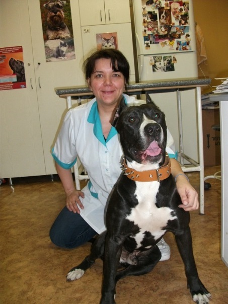 №67, Ирина Астафьева, 54 года, Санкт-Петербург №67, Ирина Астафьева, 54 года, Санкт-Петербург