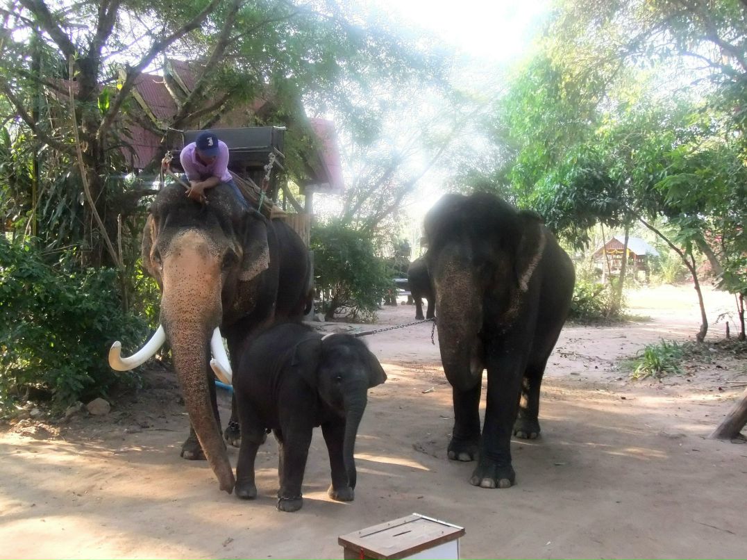 Veronika Cherepanova | Москва