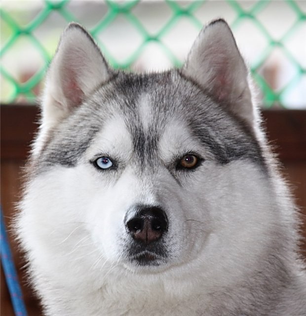 Богдан Яцкоборовський | Ровно