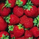 Наталья Гайдук | Харьков