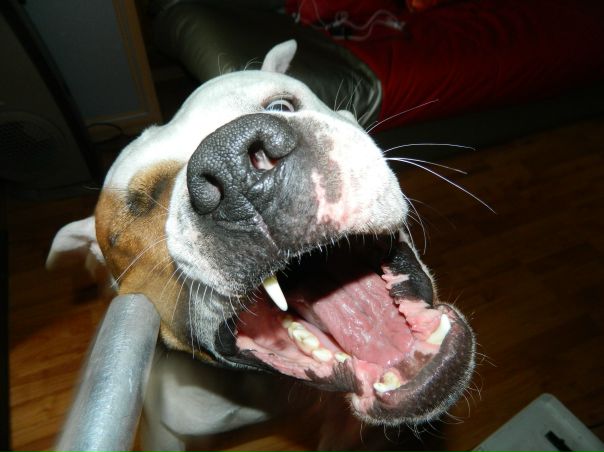 №32, Женя, 36 лет, Новый Уренгой №32, Женя, 36 лет, Новый Уренгой