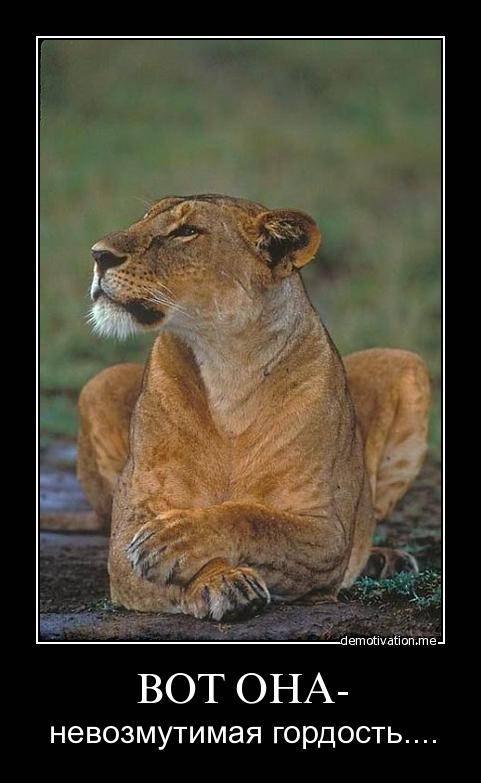 Ninochka Vinogradova ✿ܓLady | 