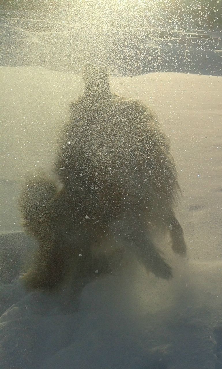 Алексей Вапняр | Иркутск