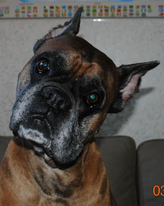 Дик Феоктистов | Санкт-Петербург