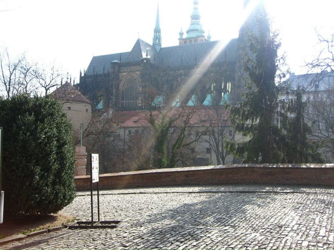 Светлана Veselkovaa | Москва