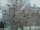 Фотография Сергей Недбайло
