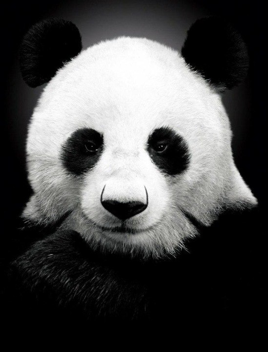 Виктория Алабина | Тольятти