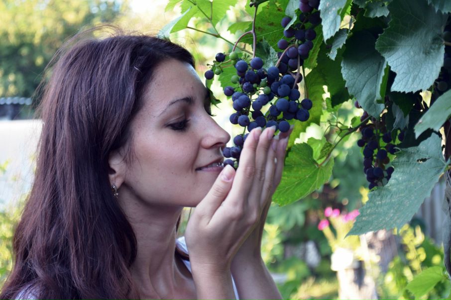 №1, Наталия Гупалова №1, Наталия Гупалова