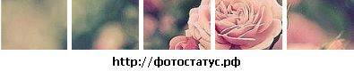 Фотография Кристина Джабраилова