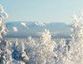 Людмила Артемьева Milka | Мурманск