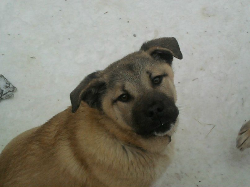 Марсель Бакиров | Казань