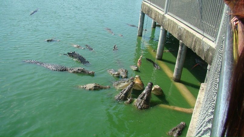 Віктор Лабенський | Львов