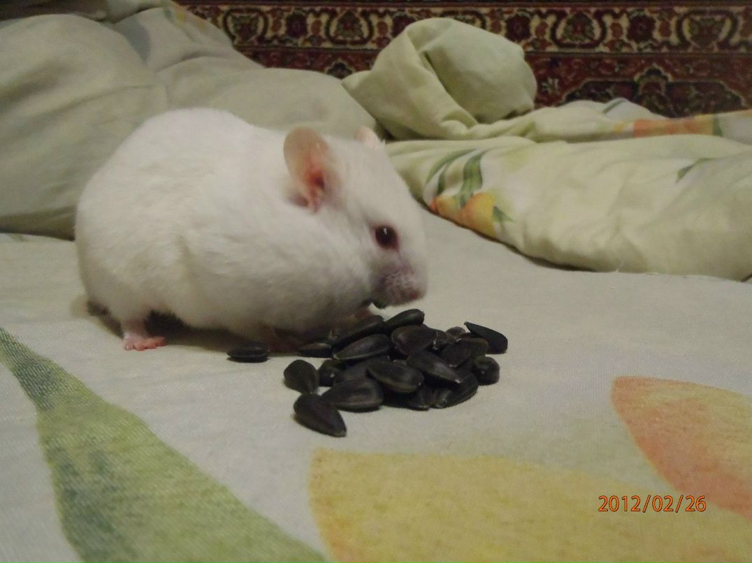 Татьяна Куряткова | Плесецк