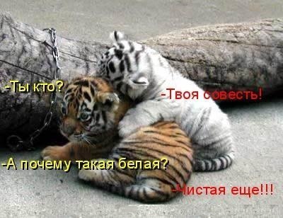 Александр Невский | Москва