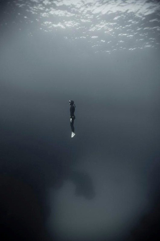 Evgeny Dravolin | Химки