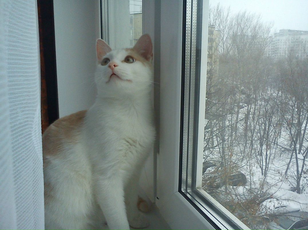 Игорь Измайлов | Москва