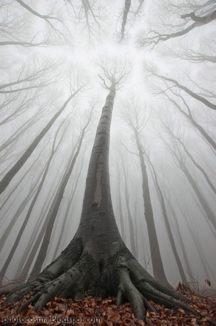 Maria Matveeva | Санкт-Петербург